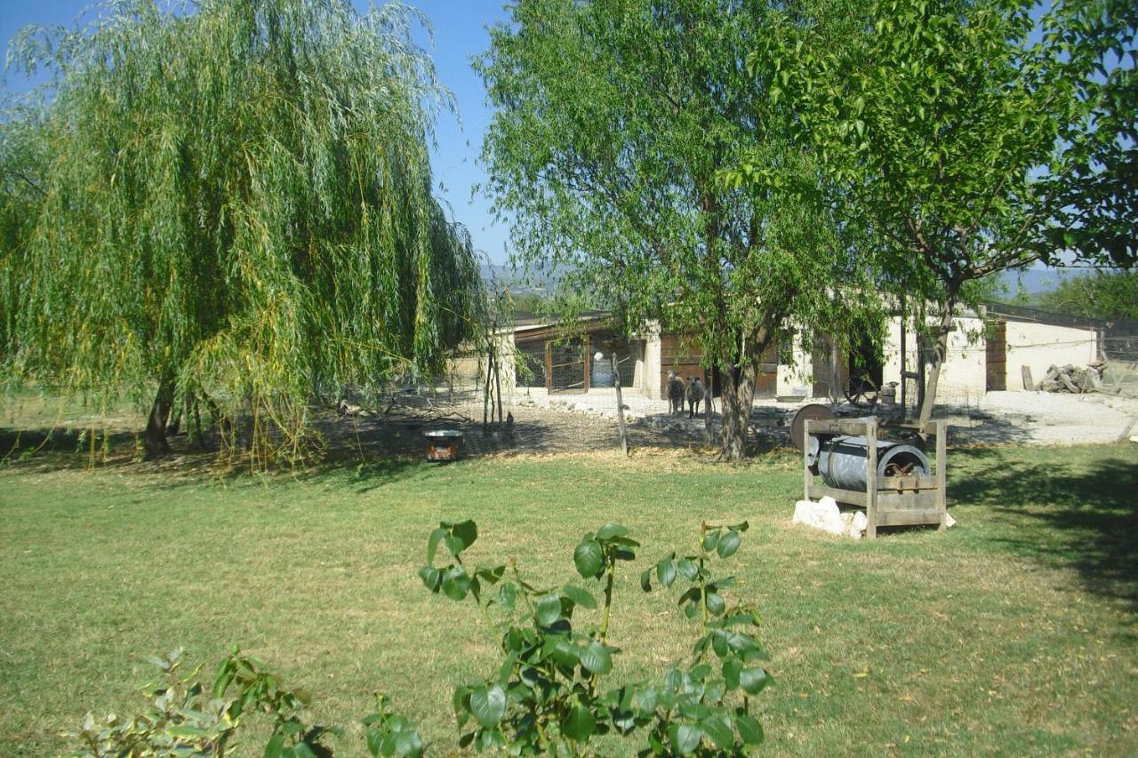 Lou Mas Li Pitchoun "Le Cortassien " Apartment Горд Екстериор снимка