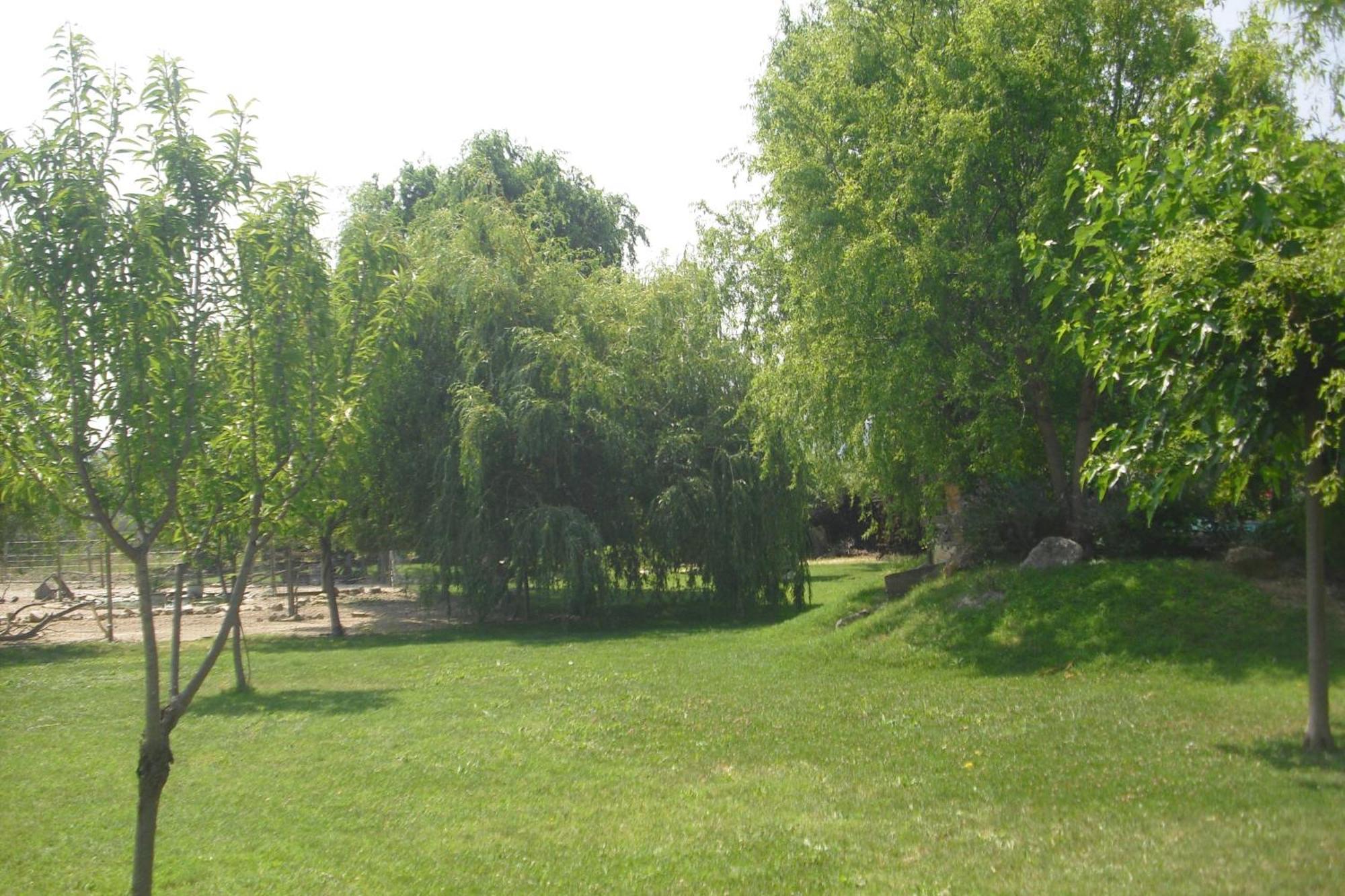 Lou Mas Li Pitchoun "Le Cortassien " Apartment Горд Екстериор снимка
